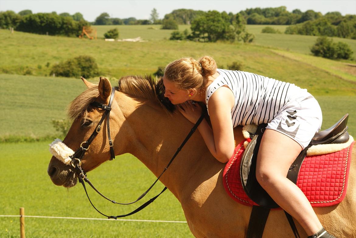 Anden særlig race Penny [Min eneste ene] - Min bedre halvdel! 
Foto: Sabine :-*  billede 4