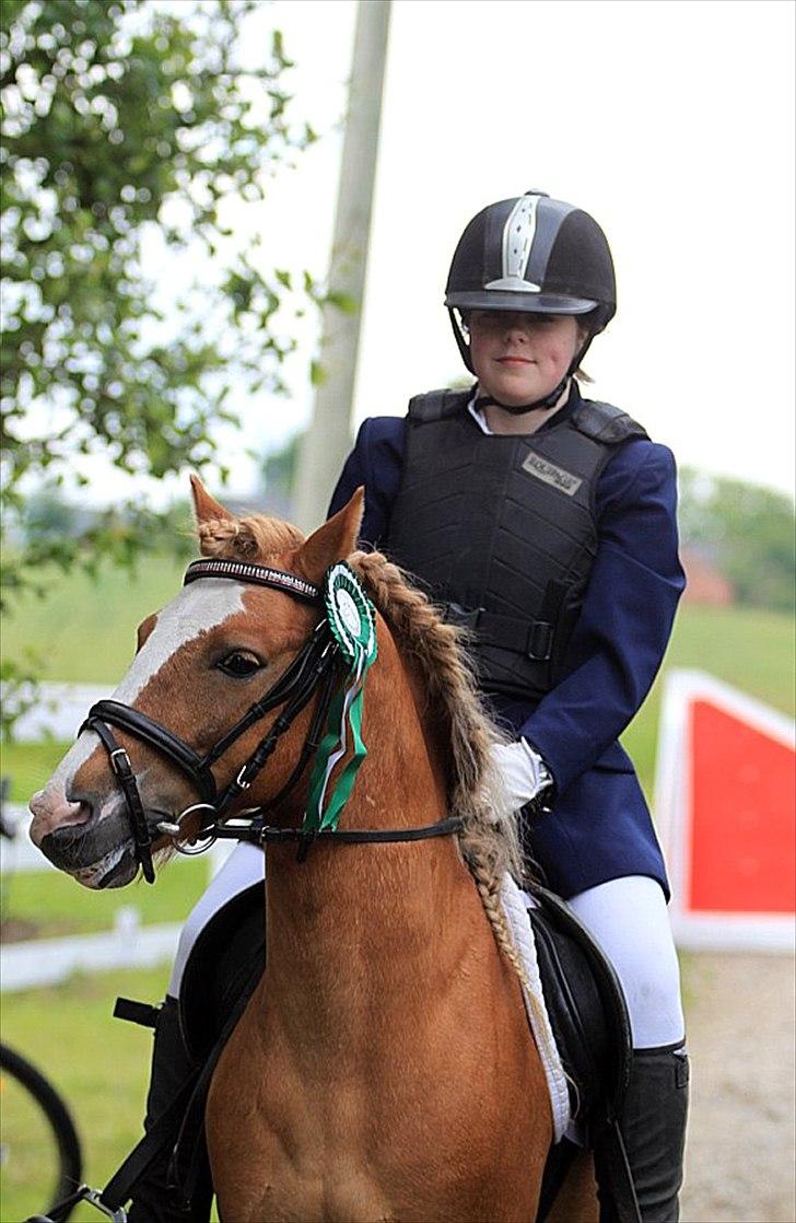 Anden særlig race Frede - Paradisets vind er den, der blæser mellem hestens ører... 

Taget af: Pia Lundberg billede 4