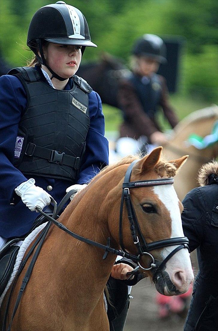 Anden særlig race Frede - Der er tidspunkter, hvor vi kan stole på en hest.
Tidspunkter, hvor vi ikke kan,
og tidspunkter, hvor vi er nødt til det.. 

Taget af: Pia Lundberg billede 5