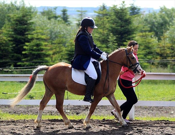 Anden særlig race Frede - I love you. Not for what you are or what you do, but for what I am, when I'm with you.. 

Taget af: Pia Lundberg

Trækker: Louise Nielsen billede 10