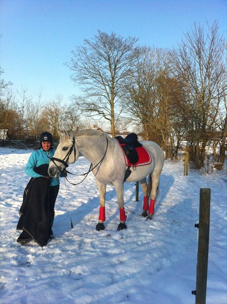 Anden særlig race smilla  - smilla sammen med thilde  billede 8