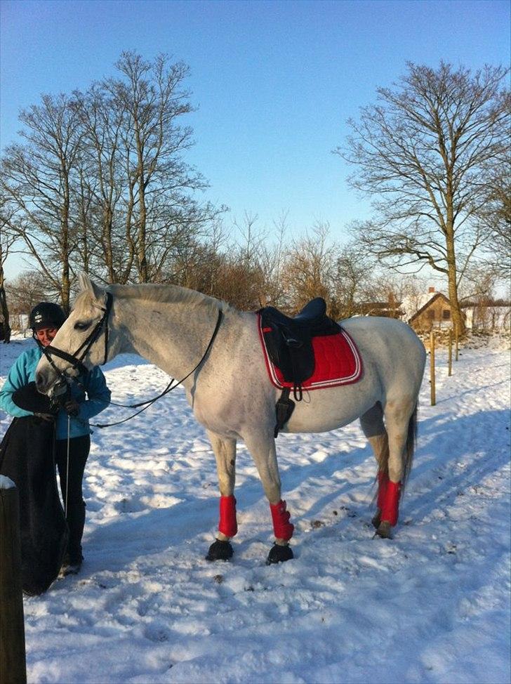 Anden særlig race smilla  - smilla og thilde  billede 9
