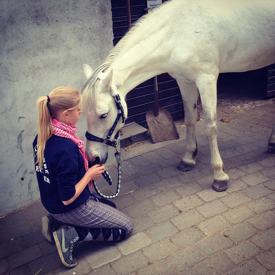Connemara Columbine<3 - hygge<3 billede 10
