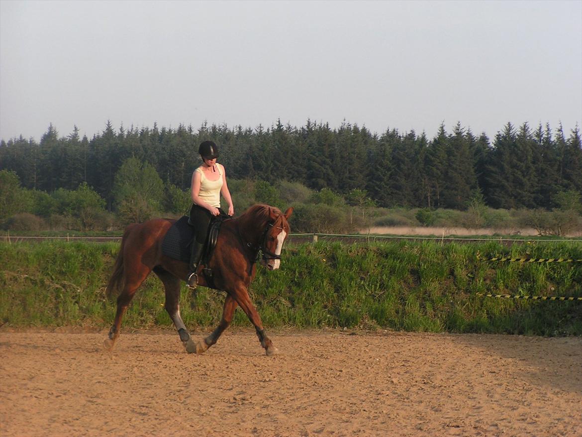 Frederiksborg Hubert. - Sommer 2012 billede 9