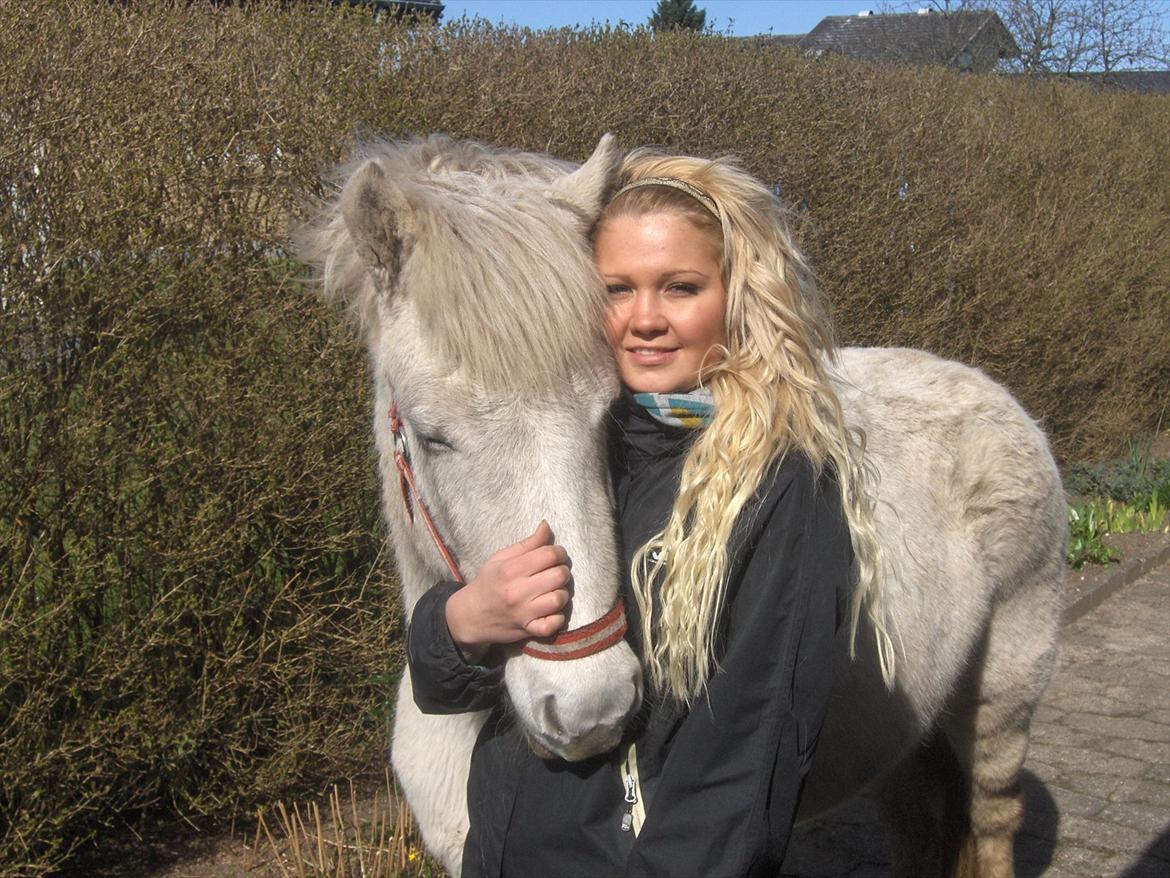 Islænder Nanna fra Hovborg billede 2