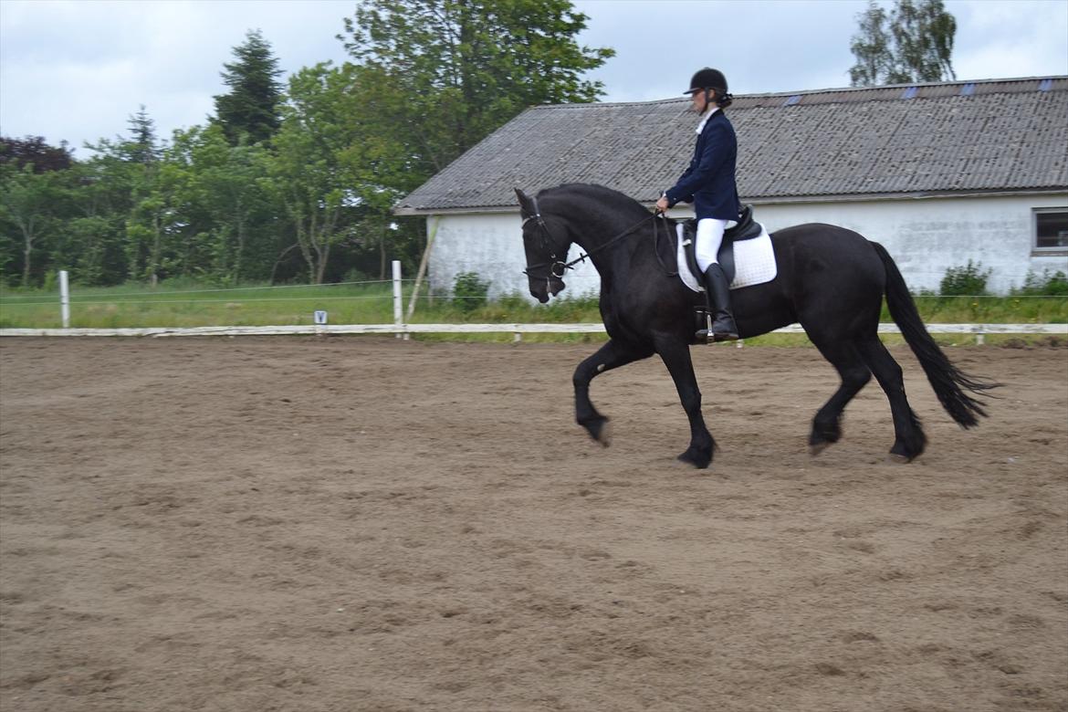 Frieser Zaino af Granly billede 2