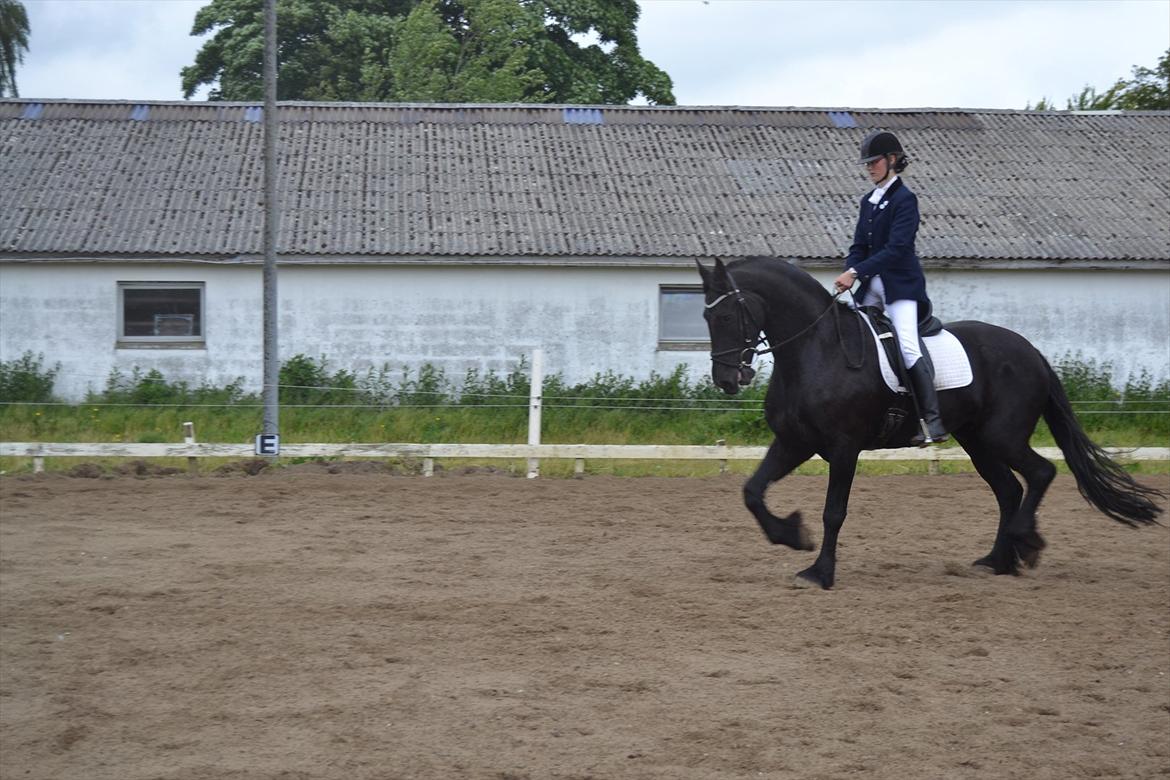 Frieser Zaino af Granly billede 3