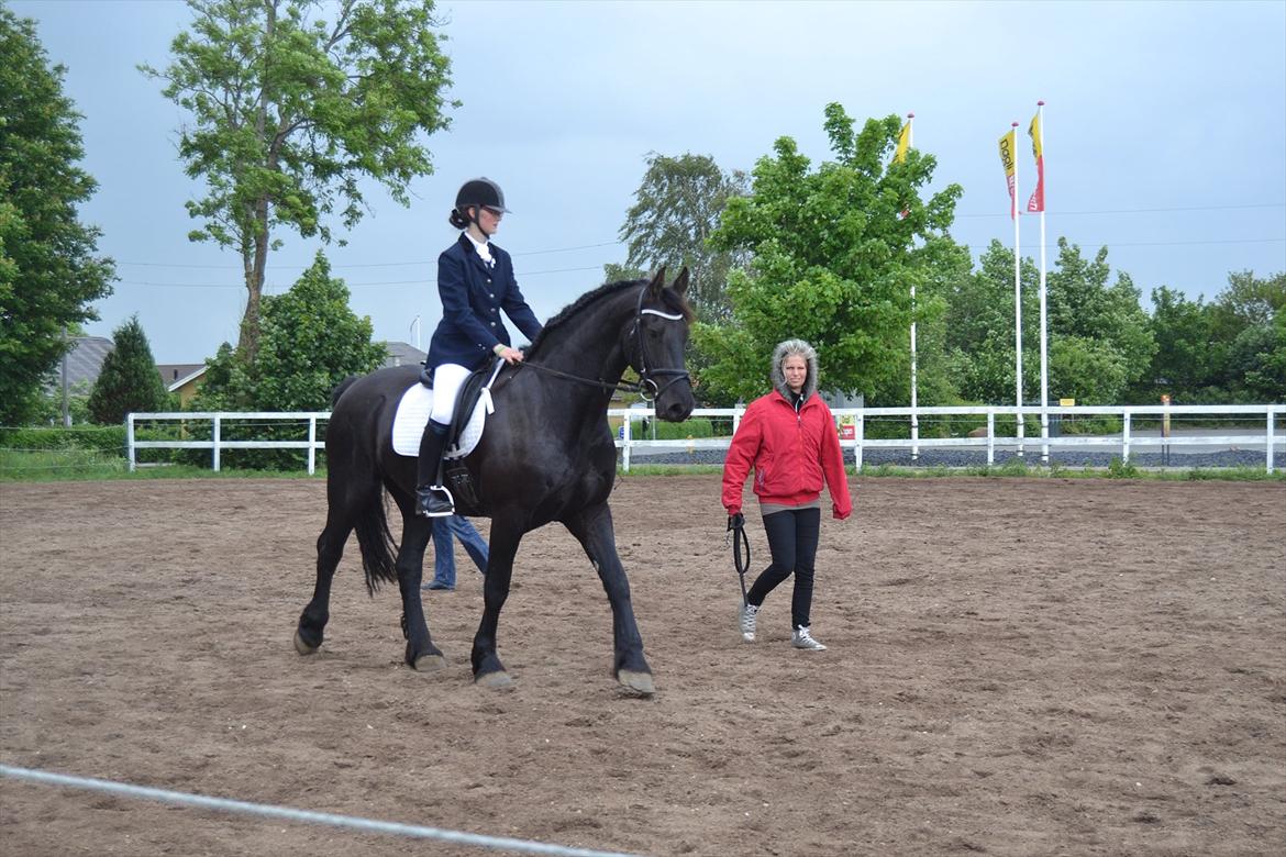 Frieser Zaino af Granly billede 4