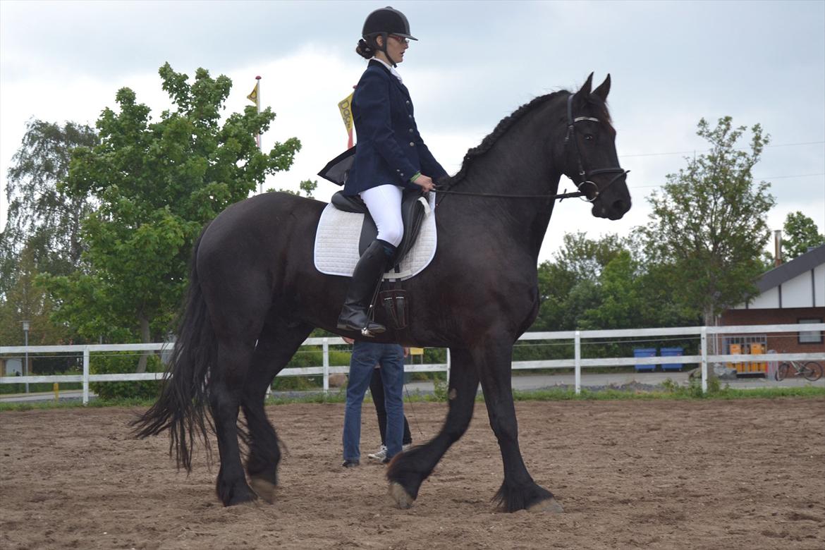 Frieser Zaino af Granly billede 5