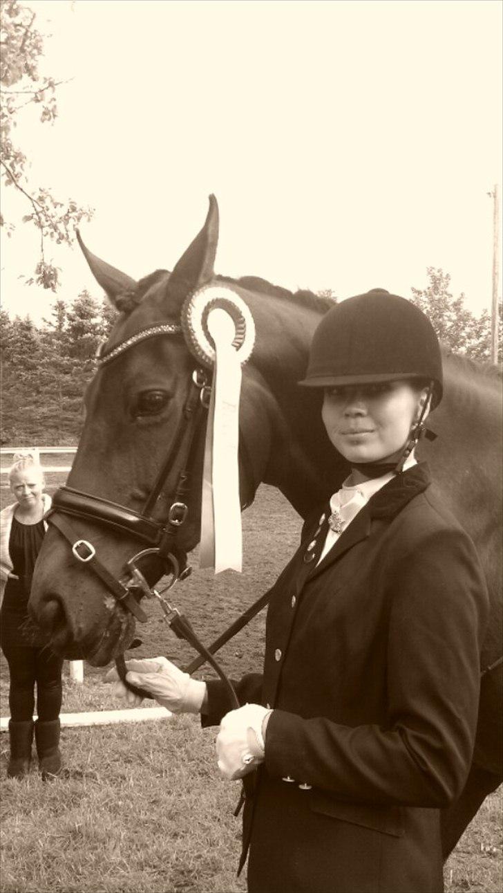 Dansk Varmblod Faster - Vinder af Lb3 Foto: Trine billede 12