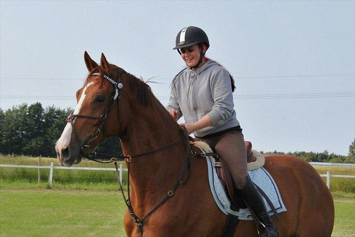 Westfaler Hovgaards Red Moon billede 1