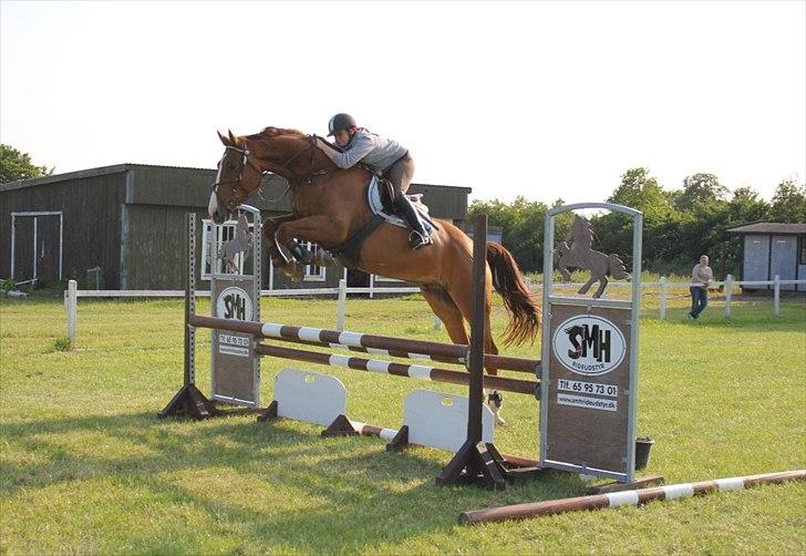 Westfaler Hovgaards Red Moon billede 10