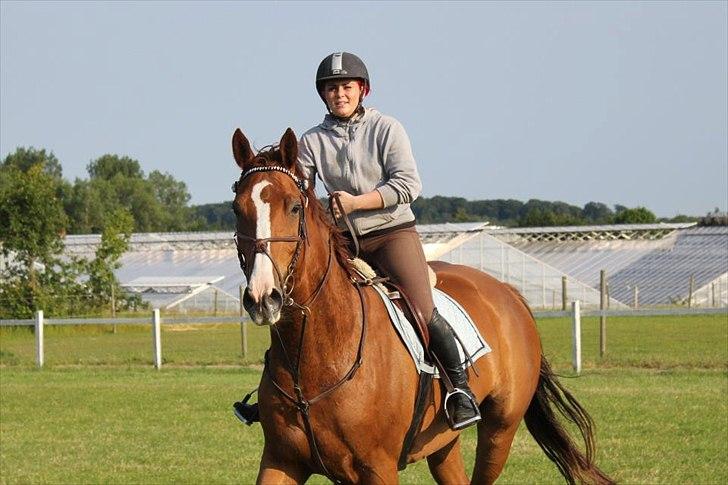 Westfaler Hovgaards Red Moon billede 11