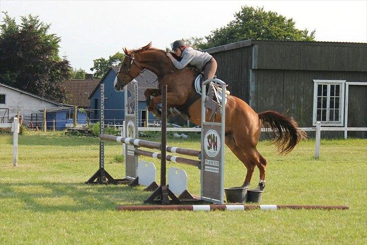 Westfaler Hovgaards Red Moon billede 12