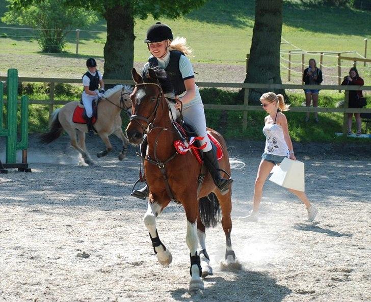 Anden særlig race Paintball  - Så dygtig pony! Fik lov at låne ham af Leonora, fordi Tosacana var syg, og så går han ind og vinder begge klasser vi starter - han er en stjerne!!!!! billede 4