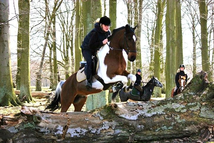 Anden særlig race Paintball  - Noget af det dejligste <3 billede 8