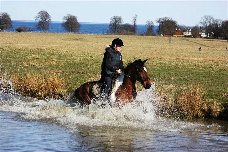Anden særlig race Paintball  - Du får mig til at smile :D billede 12