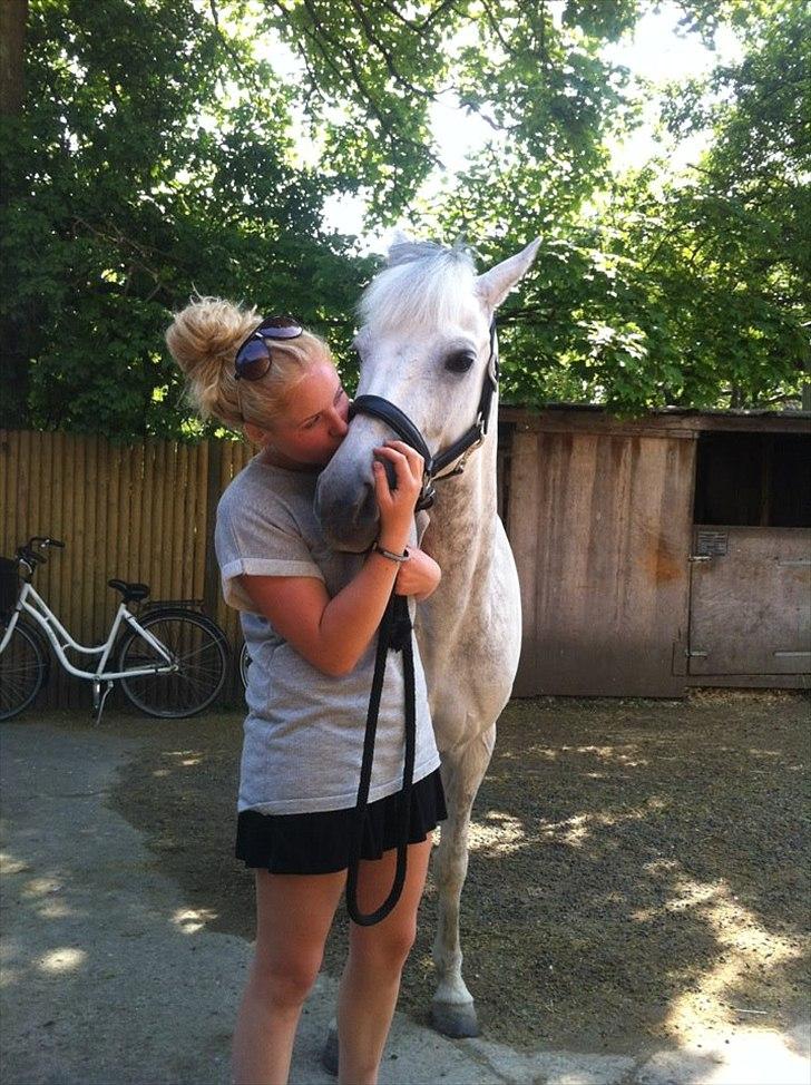 Tysk Sportspony Toscana - elsker dig <3 billede 11