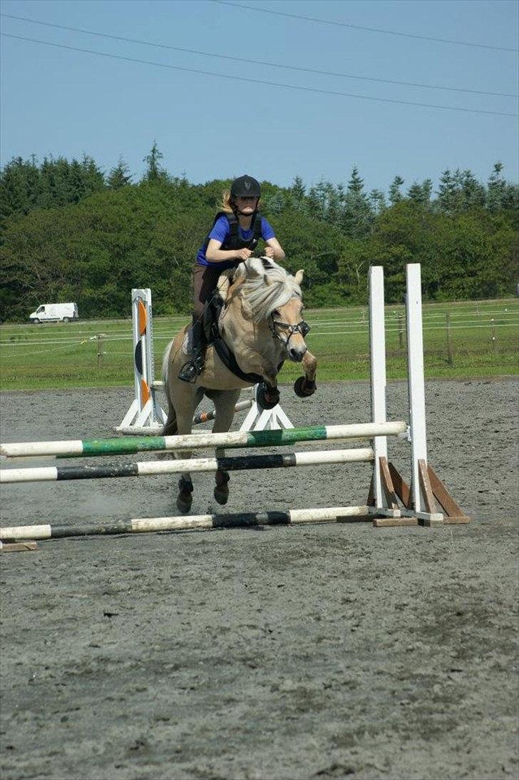 Fjordhest Refstrups Lucinda - Spring på bette ponyen.... -DET ER FORBUDT AT KOPIERE BILLEDERNE ! billede 11