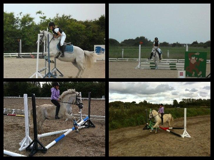 Welsh Pony (sec B) Hvide Charlie <3 - De to første billeder er mig og Hvide til springstævne den 15. Juni<'33 Vi fik 2 rosetter;**<333 De er taget af Sara -  Og de to nederste billeder er en dag vi fik springundervisning:*;D<3 Og dem har min Far taget;D<3 billede 16