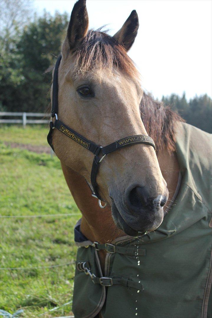 Anden særlig race Bratz <3 billede 16