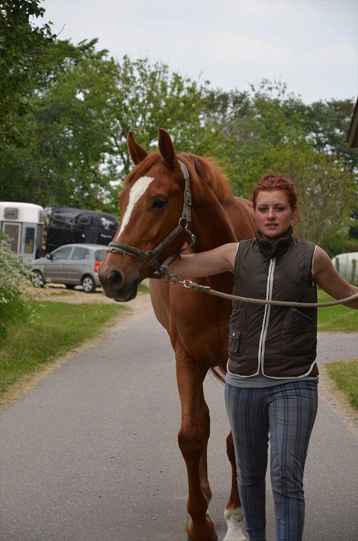 Anden særlig race ¬ DJAPPA THE HOT {Nadas} <3 [Min] - Djappa og jeg går en sommertur <3 billede 9