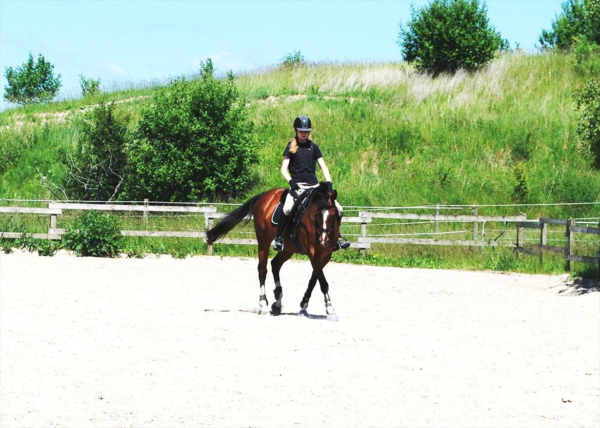 Fuldblod (XX) Rock The Socks - 2. gang på udendørsbanen ;o) JUNI 2012 *Foto: Elisa* billede 7