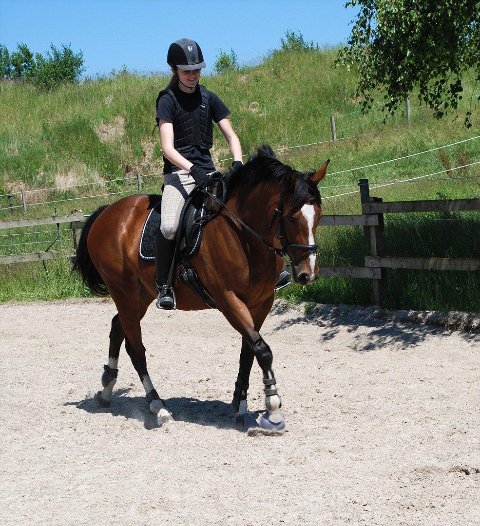Fuldblod (XX) Rock The Socks - Små dressur JUNI 2012 *Foto: Elisa* billede 6
