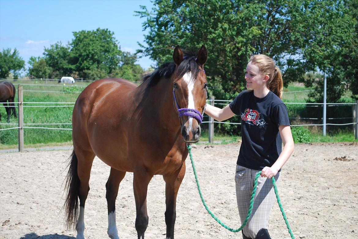 Fuldblod (XX) Rock The Socks - På vej ind fra fold :-) JUNI 2012 *Foto: Elisa* billede 8