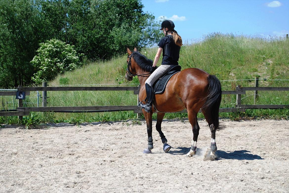 Fuldblod (XX) Rock The Socks - Tak fordi i kiggede forbi! Når enden er god er alting godt? :b JUNI 2012 *Foto: Elisa* billede 20