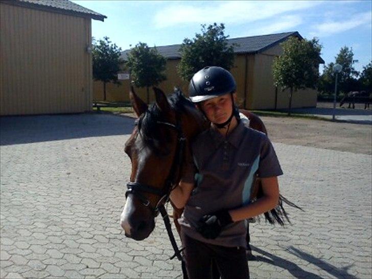 Anden særlig race Kadanza´s King - smukke<3 billede 16