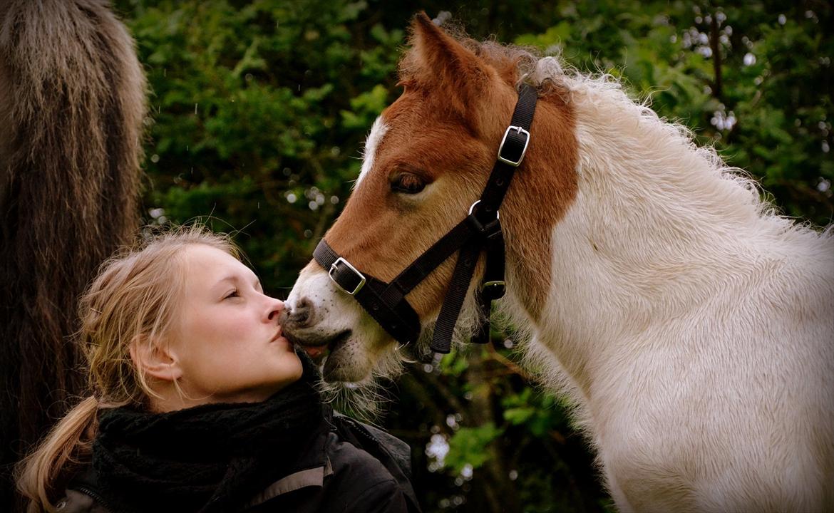 Islænder Mímir fra Havshøj - I look into your eyes as you stare into mine, and all I can think is, 'I must be the luckiest girl in the world. billede 4