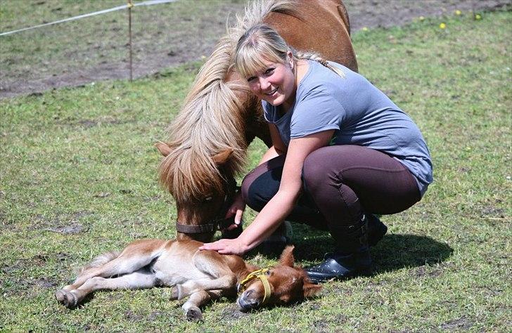 Anden særlig race Cera *Solgt* billede 5