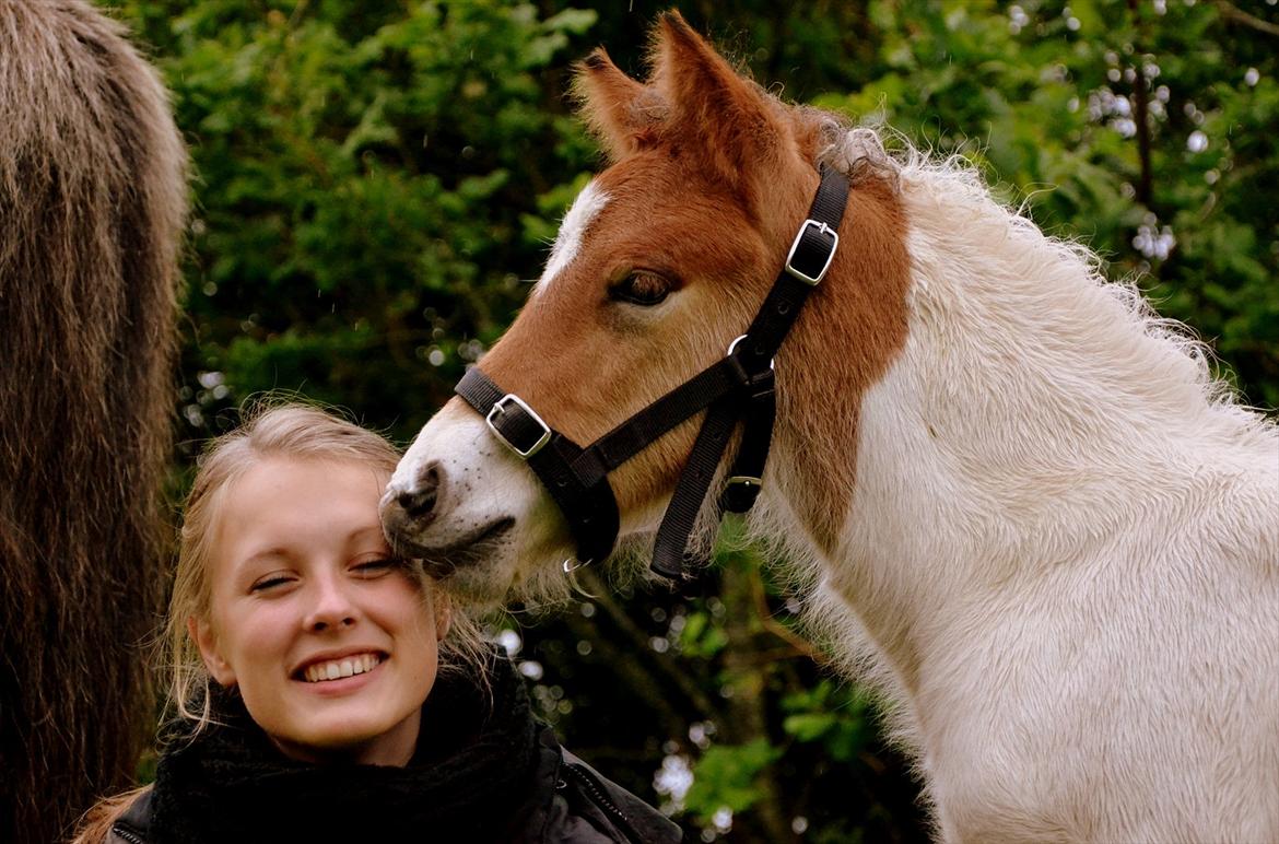 Islænder Mímir fra Havshøj - I smiled to many people for more than a billion times; but when I first saw you, my heart took over and smiled for the first time. billede 17