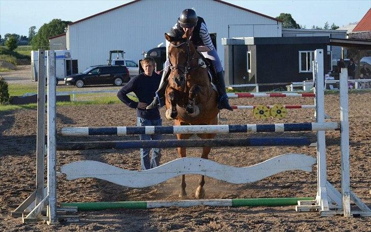 Anden særlig race Speedy the Speedfighter!<3 - Mig og Speedy spring træning!
dejlig pony!<3 billede 1