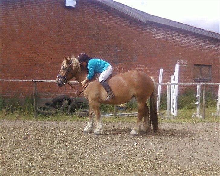 Anden særlig race Emmelie - 06-12 billede 13