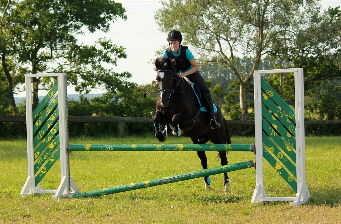 Anden særlig race Arkiball <3 - Spring på Akie den 21-6-2012 <3 billede 9