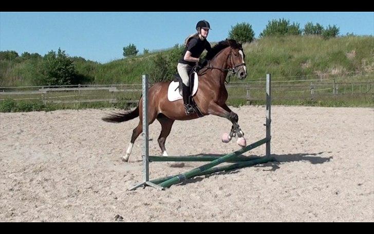 Fuldblod (XX) Rock The Socks - Første gang vi springer sammen - dygtigt :o) JUNI 2012 *Foto: Elisa* billede 4