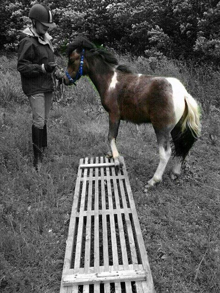 Anden særlig race ~Mister Surprise~ **romkulgen** - being a part of something special makes you special<3 billede 14