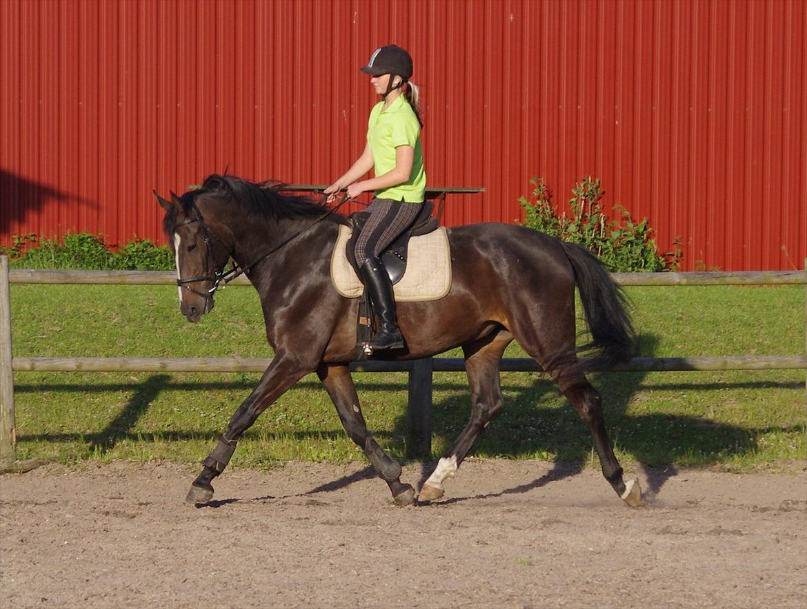 Oldenborg Rosenhavens Madok - juni 2012 <3 skønne dreng! <3  billede 18