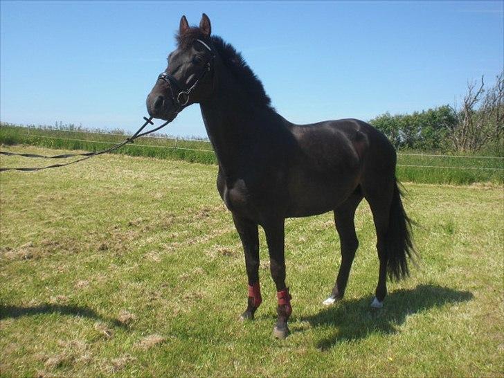 Traver Office Max - Opmærksom! :) billede 3