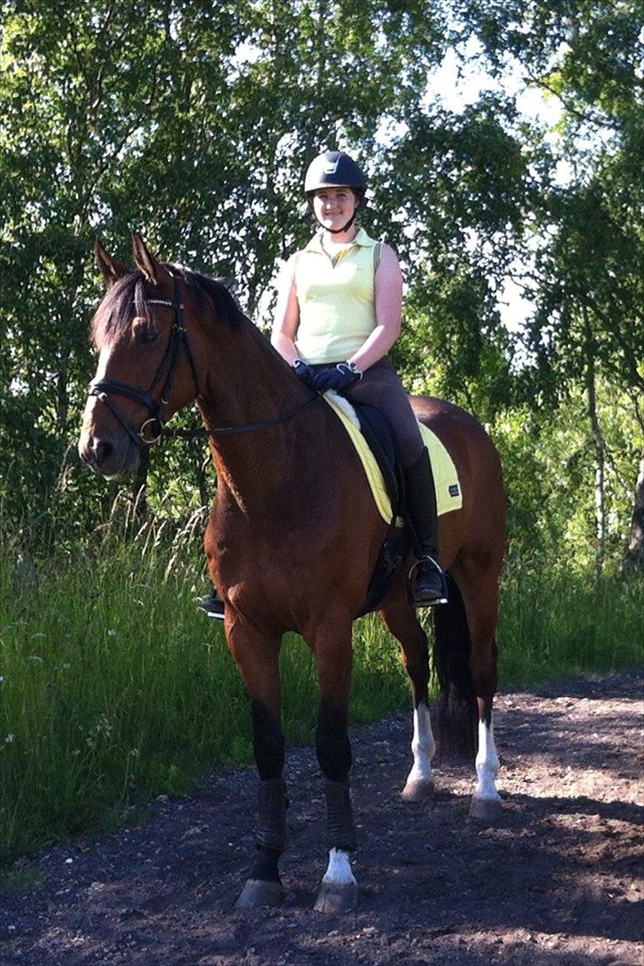Dansk Varmblod Ruder Es Havdal - Juni 2012 på tur i Hedeland billede 21