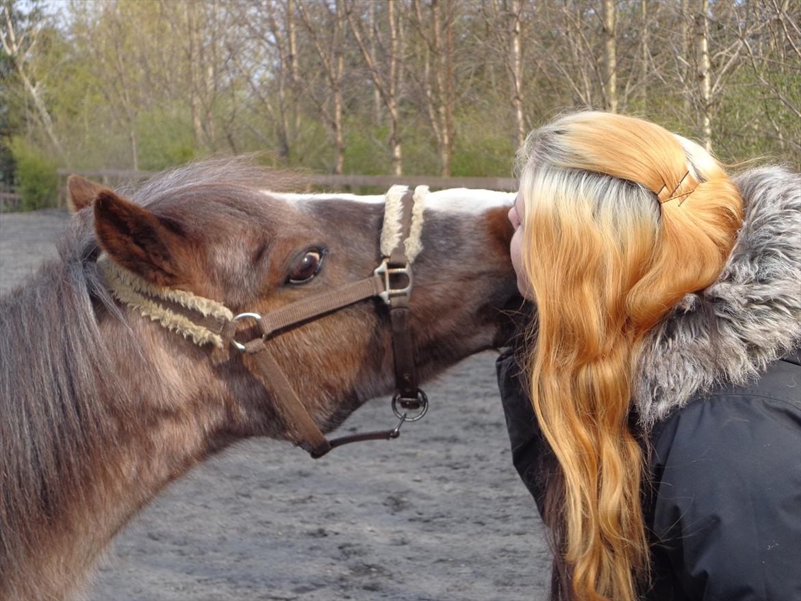 Anden særlig race Sheila *My Soulmate* billede 10