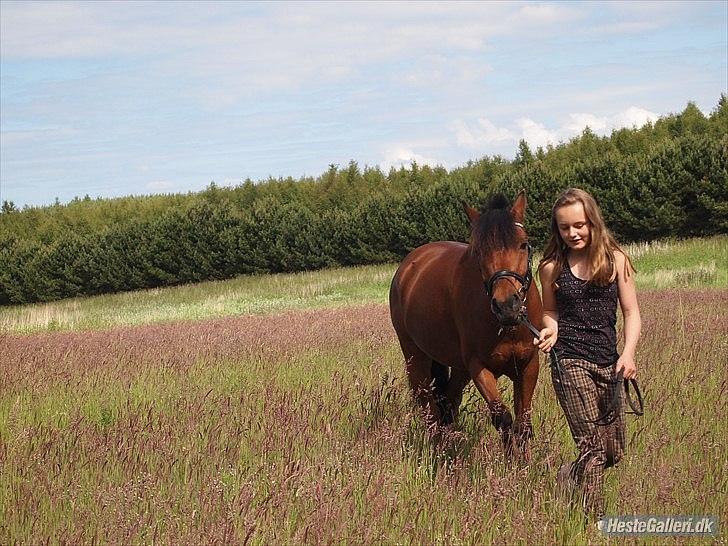 DSP Sultan fra Højbo<3 billede 16