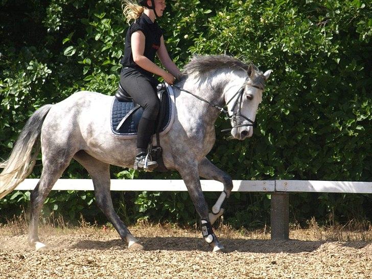 Anden særlig race Kenya - sommer 2012 billede 6