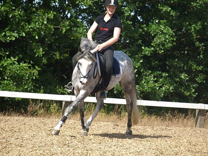 Anden særlig race Kenya - træning hjemme sommer 2012 billede 1