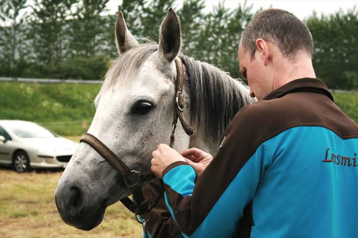 DSP Ally Divine - Foto: "foto-Jannie" billede 17