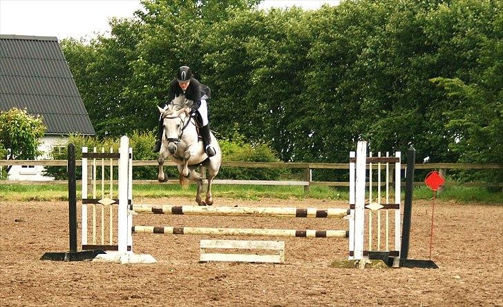 DSP Ally Divine - Foto: "foto-Jannie" billede 1