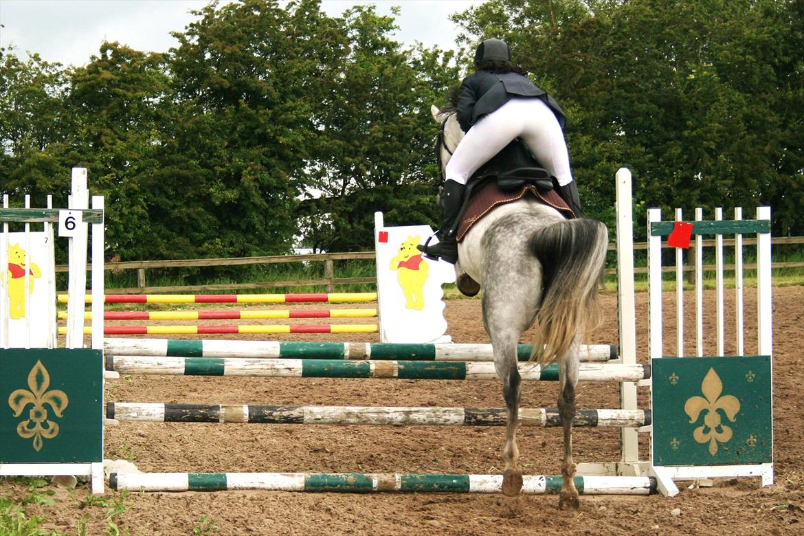 DSP Ally Divine - Foto: "foto-Jannie" billede 9