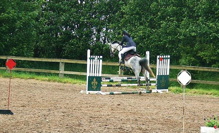 DSP Ally Divine - Foto: "foto-Jannie" billede 19